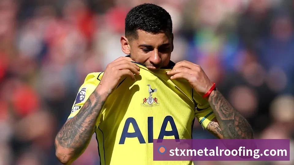 mksports在线官网入口网页版APP 体育赛事宣传图